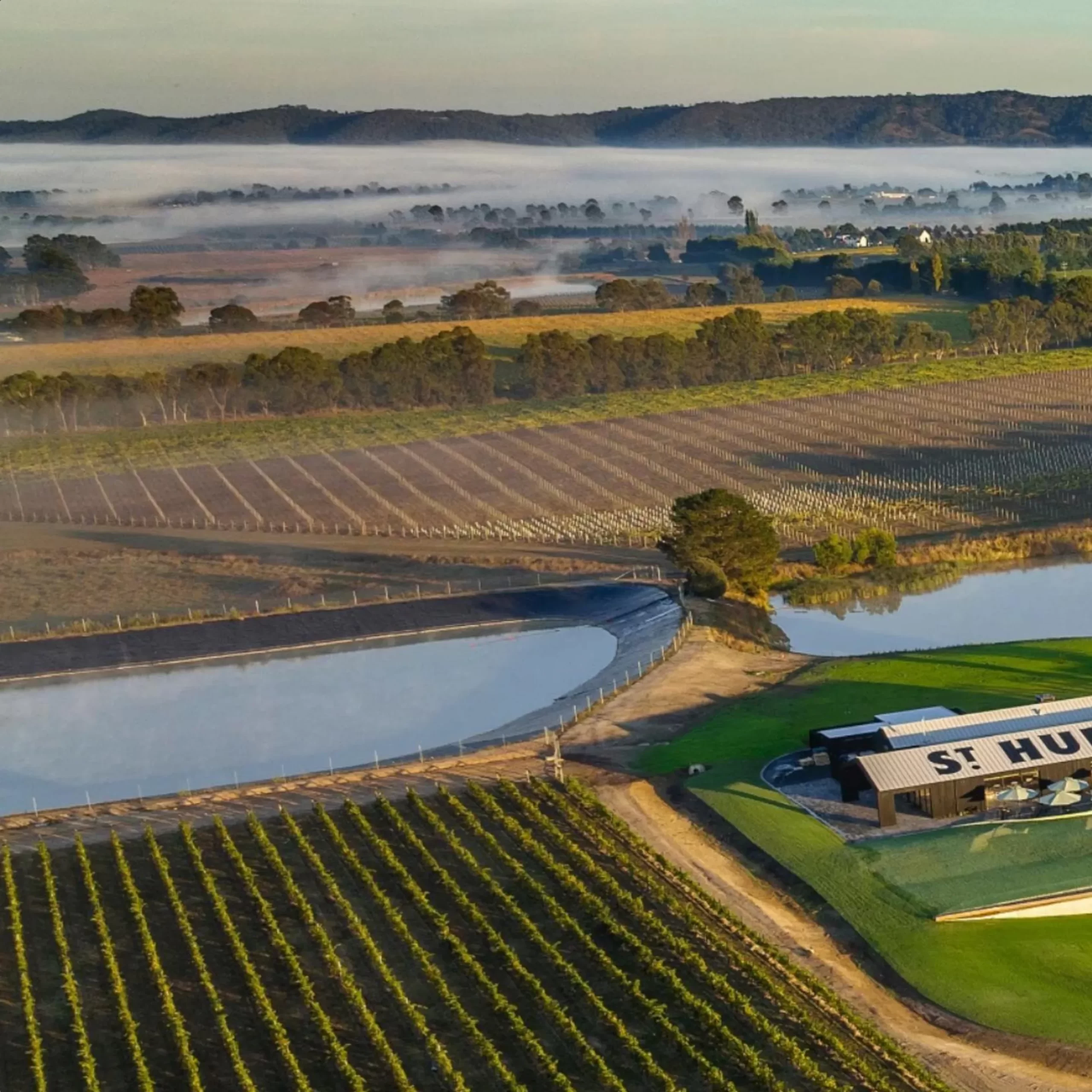 winery, Hubert Estate