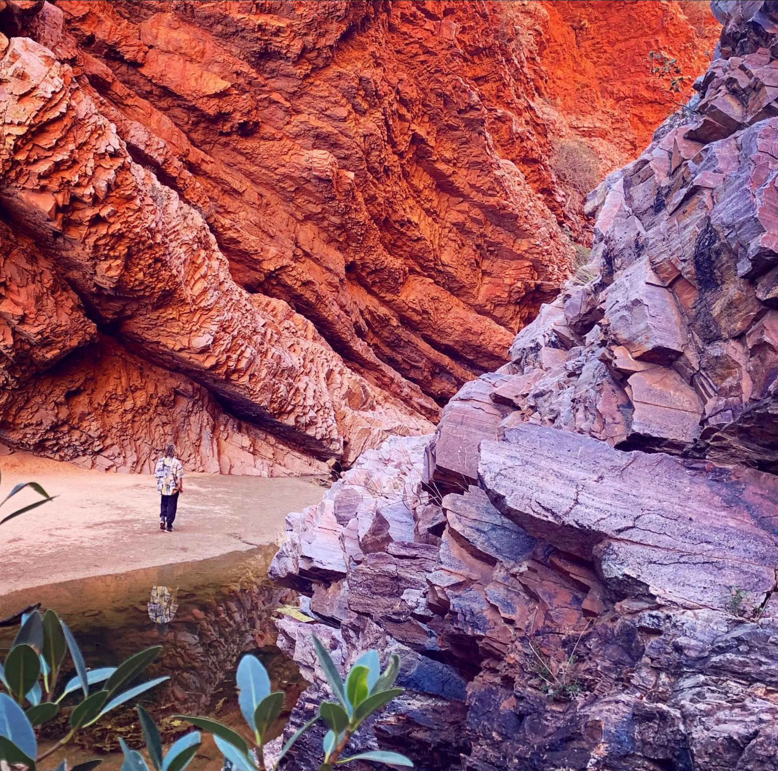 Central Australian ecosystems